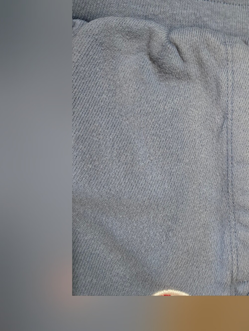 Champion Light Blue Athletic Shorts - Picture 3 of 15